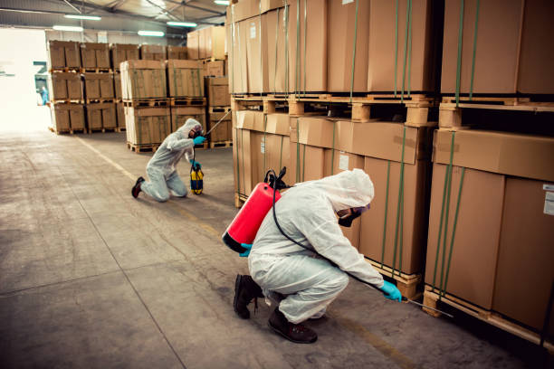 Best Ant Control Services  in Belle Plaine, KS