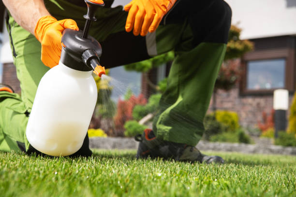Pest Control for Restaurants in Belle Plaine, KS