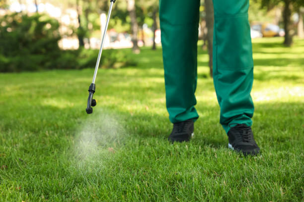 Best Pest Prevention Services  in Belle Plaine, KS
