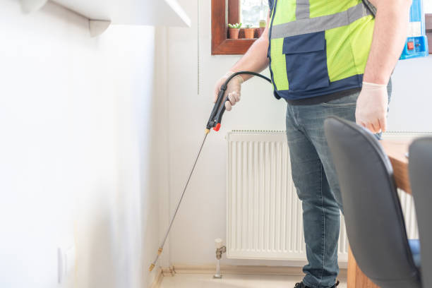 Best Wasp Removal Services  in Belle Plaine, KS