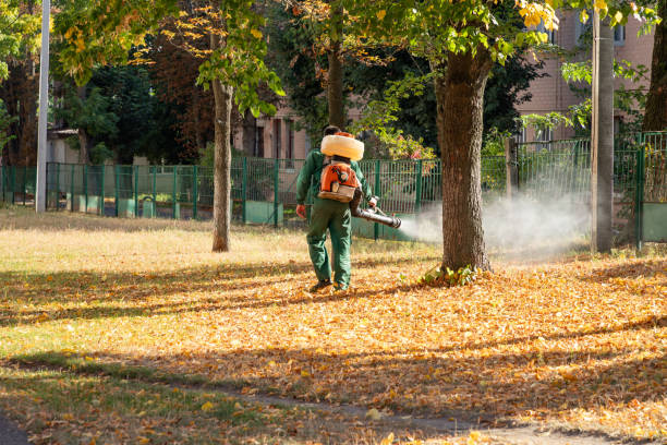 Best Emergency Pest Control  in Belle Plaine, KS