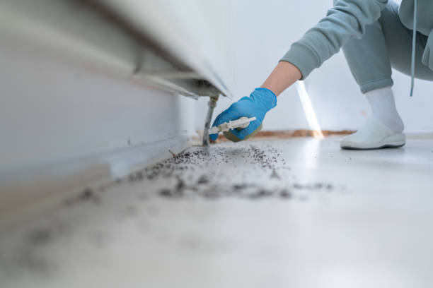 Best Pest Prevention Services  in Belle Plaine, KS